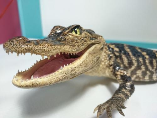 IMG_20220620_113031_HDR