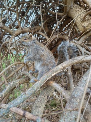 IMG_20221112_130450_HDR