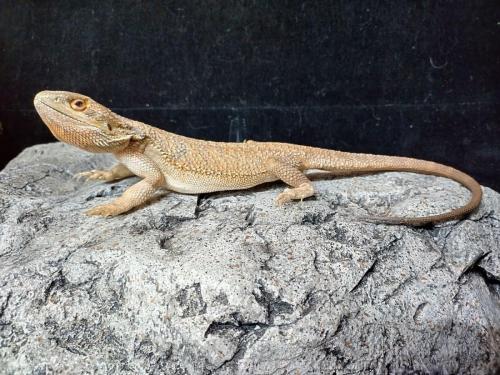 IMG_20230128_155641_HDR