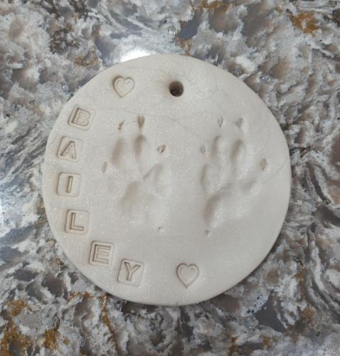 IMG_20230509_104357~2