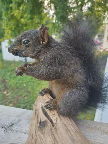 IMG_20230920_171530_HDR