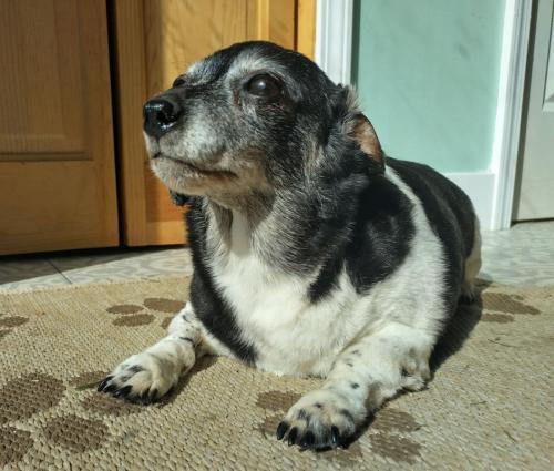 IMG_20231011_105704_HDR