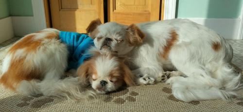 IMG_20231017_100132_HDR