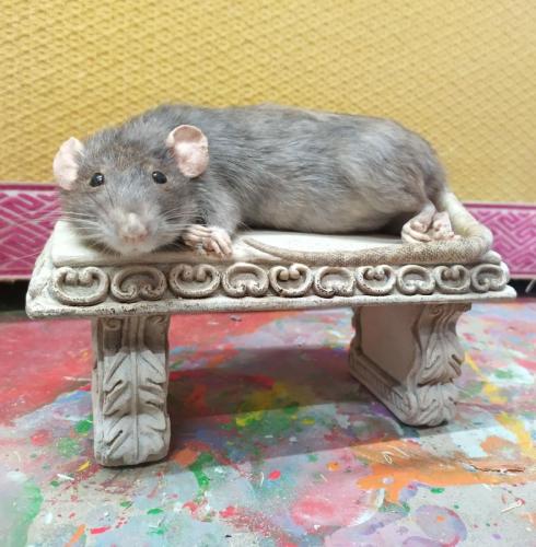 IMG_20240117_120059_HDR