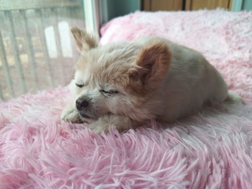 IMG_20250304_145513_071