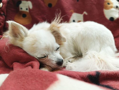 IMG_20250327_101641_696