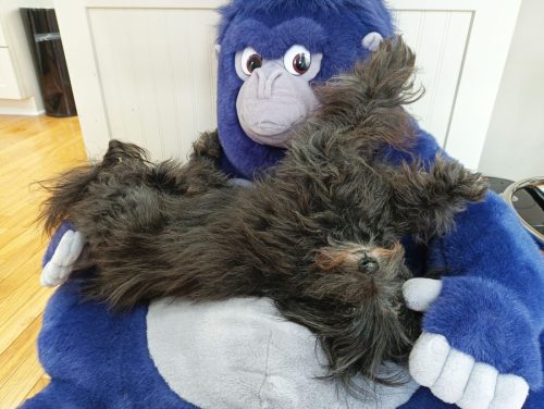 IMG_20250327_102631_494