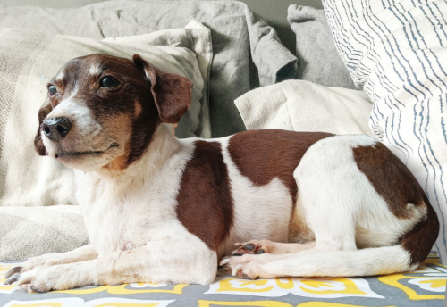 IMG_20250327_155741_441