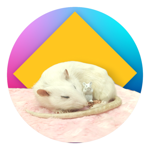 IMG_20250328_122336_455