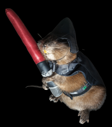 aec6e6af-d6f8-409c-b70f-e825d80c4f2e