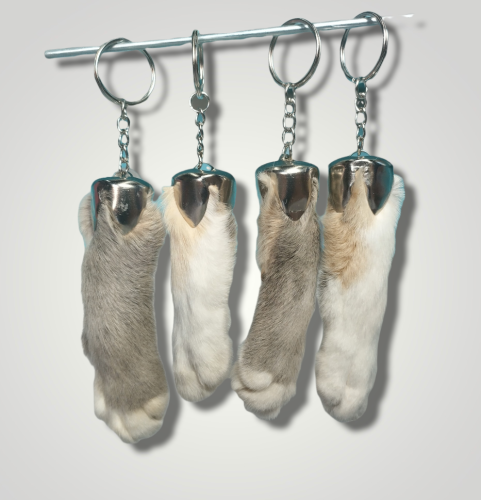 b1eea385-55a4-47ae-b7e4-32bbdab388a6